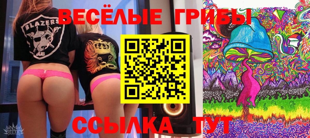 Балашиха  Псилоцибиновые грибы Psilocybe  Вход с VPN 